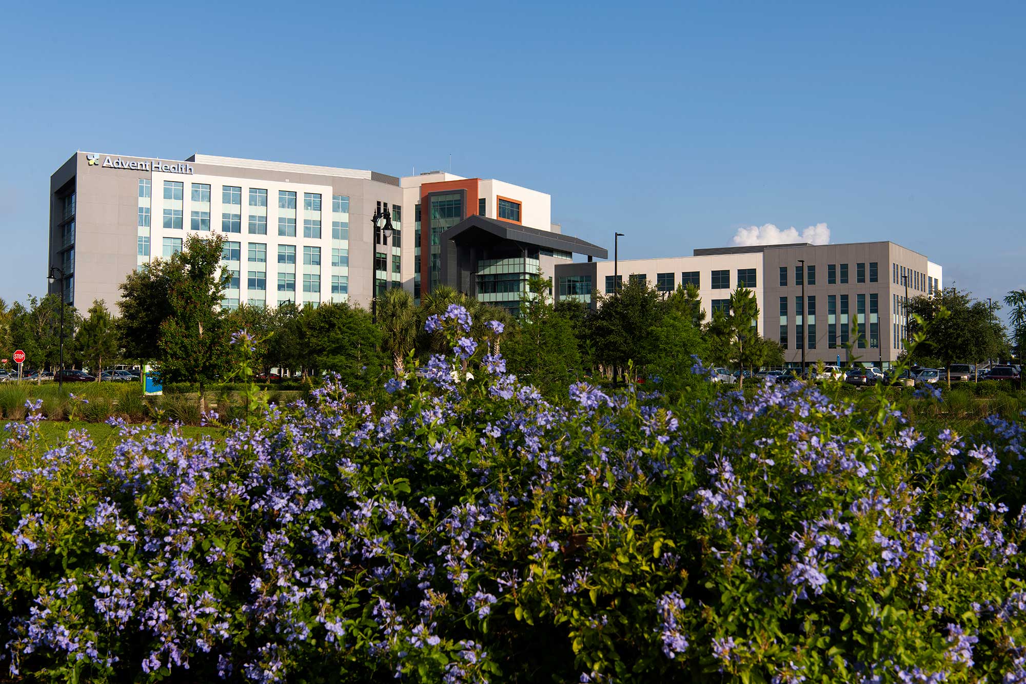 A bed of flowers in front of the AdventHealth Apopka hospital