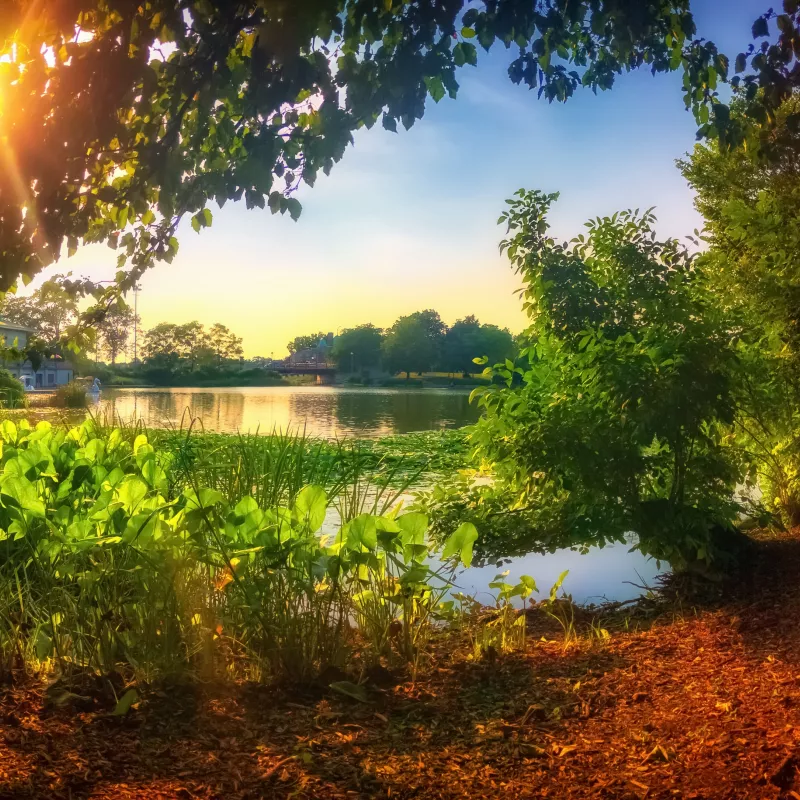 outdoor photo of a park with a lake